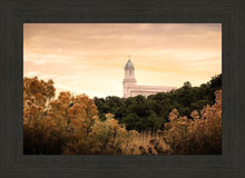 Load image into Gallery viewer, Cedar City Golden
