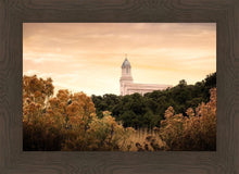 Load image into Gallery viewer, Cedar City Golden

