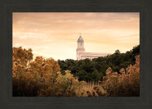 Load image into Gallery viewer, Cedar City Golden
