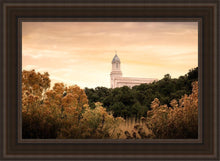 Load image into Gallery viewer, Cedar City Golden
