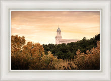 Load image into Gallery viewer, Cedar City Golden
