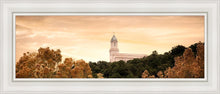 Load image into Gallery viewer, Cedar City Golden
