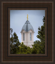 Load image into Gallery viewer, Cedar City Detail

