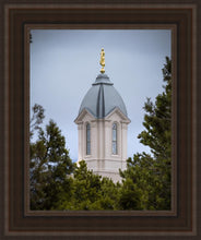 Load image into Gallery viewer, Cedar City Detail

