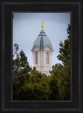 Load image into Gallery viewer, Cedar City Detail
