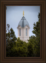 Load image into Gallery viewer, Cedar City Detail
