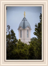 Load image into Gallery viewer, Cedar City Detail
