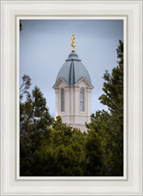 Load image into Gallery viewer, Cedar City Detail

