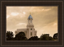 Load image into Gallery viewer, Cedar City Golden Sunshine
