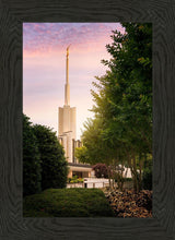 Load image into Gallery viewer, Atlanta Garden
