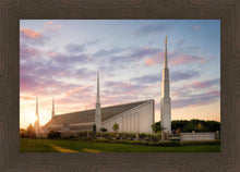 Load image into Gallery viewer, Boise Springtime
