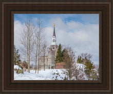 Load image into Gallery viewer, Boston Winter Morning

