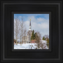 Load image into Gallery viewer, Boston Winter Morning
