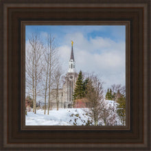 Load image into Gallery viewer, Boston Winter Morning
