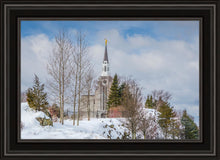 Load image into Gallery viewer, Boston Winter Morning
