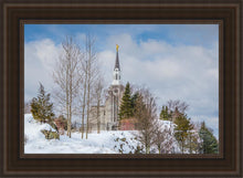 Load image into Gallery viewer, Boston Winter Morning
