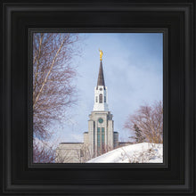 Load image into Gallery viewer, Boston Morning Snow Vertical
