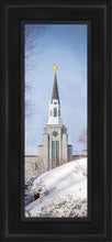 Load image into Gallery viewer, Boston Morning Snow Vertical
