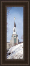 Load image into Gallery viewer, Boston Morning Snow Vertical
