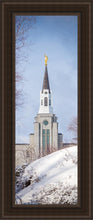 Load image into Gallery viewer, Boston Morning Snow Vertical
