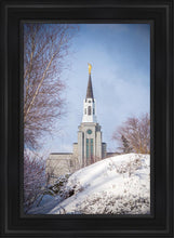 Load image into Gallery viewer, Boston Morning Snow Vertical
