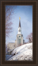 Load image into Gallery viewer, Boston Morning Snow Vertical
