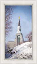 Load image into Gallery viewer, Boston Morning Snow Vertical
