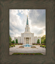 Load image into Gallery viewer, Houston Day
