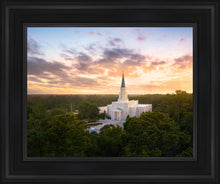 Load image into Gallery viewer, Houston from on High
