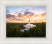 Load image into Gallery viewer, Houston from on High

