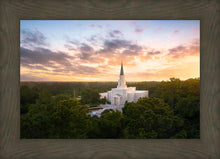 Load image into Gallery viewer, Houston from on High
