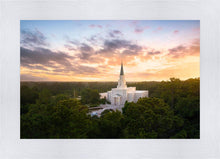 Load image into Gallery viewer, Houston from on High
