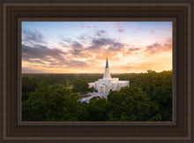 Load image into Gallery viewer, Houston from on High
