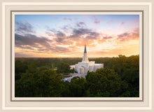Load image into Gallery viewer, Houston from on High
