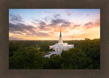 Load image into Gallery viewer, Houston from on High
