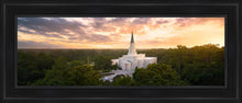 Load image into Gallery viewer, Houston from on High
