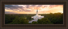 Load image into Gallery viewer, Houston from on High
