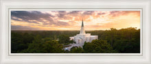 Load image into Gallery viewer, Houston from on High
