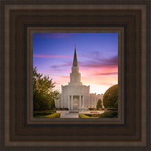 Load image into Gallery viewer, Houston Walk in the Light
