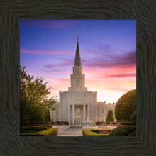 Load image into Gallery viewer, Houston Walk in the Light
