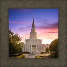 Load image into Gallery viewer, Houston Walk in the Light
