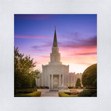Load image into Gallery viewer, Houston Walk in the Light
