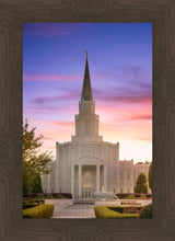 Load image into Gallery viewer, Houston Walk in the Light

