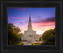 Load image into Gallery viewer, Houston Walk in the Light
