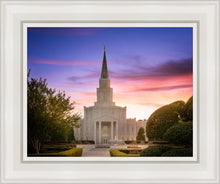 Load image into Gallery viewer, Houston Walk in the Light
