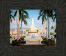 Load image into Gallery viewer, Kona Pastel
