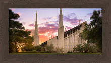 Load image into Gallery viewer, Las Vegas Desert Rose
