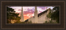 Load image into Gallery viewer, Las Vegas Desert Rose
