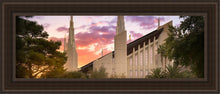 Load image into Gallery viewer, Las Vegas Desert Rose
