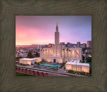 Load image into Gallery viewer, Los Angeles Weathering the Storm
